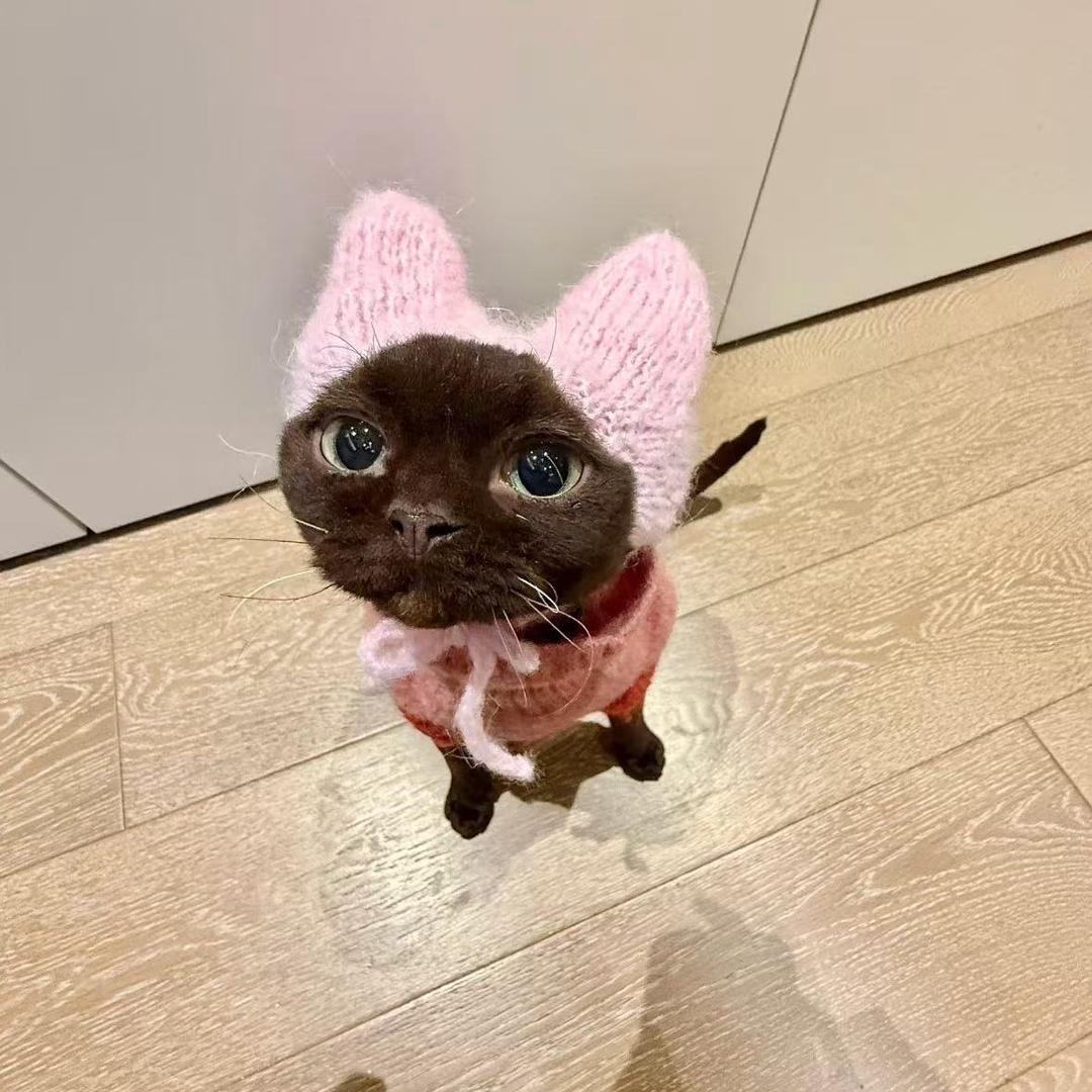 榴莲🐕