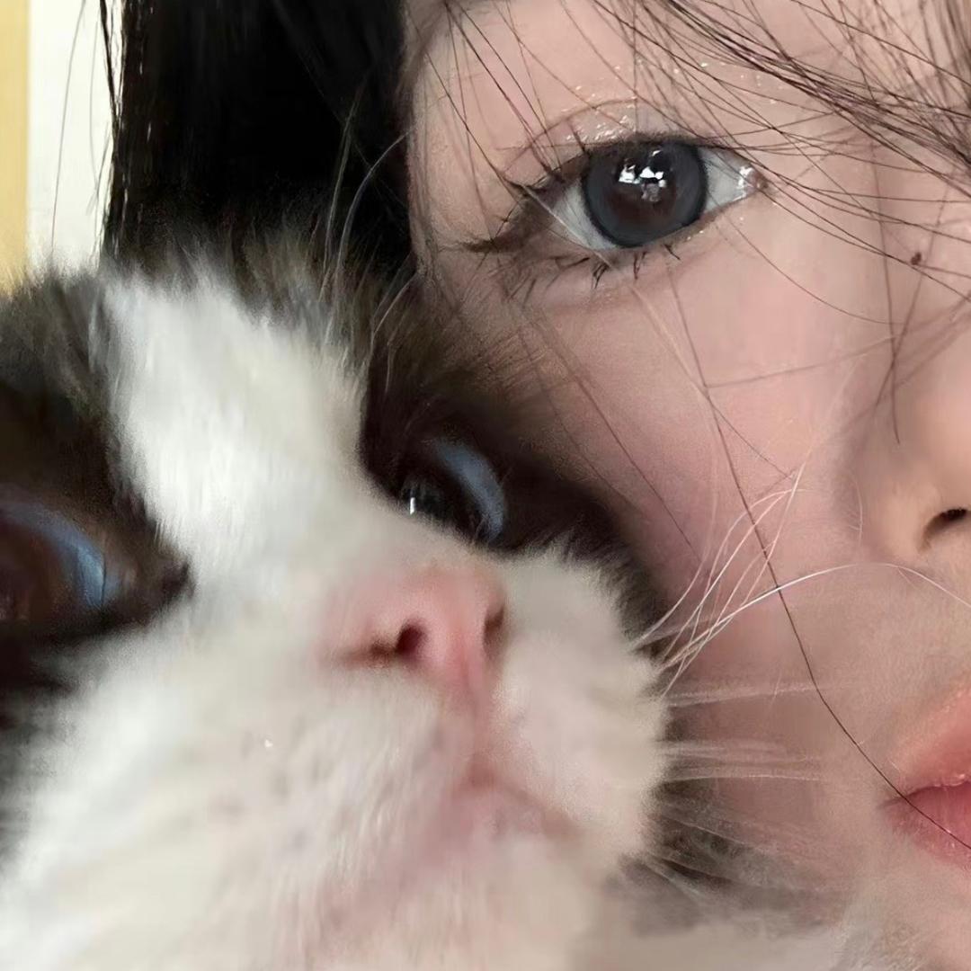 今今_