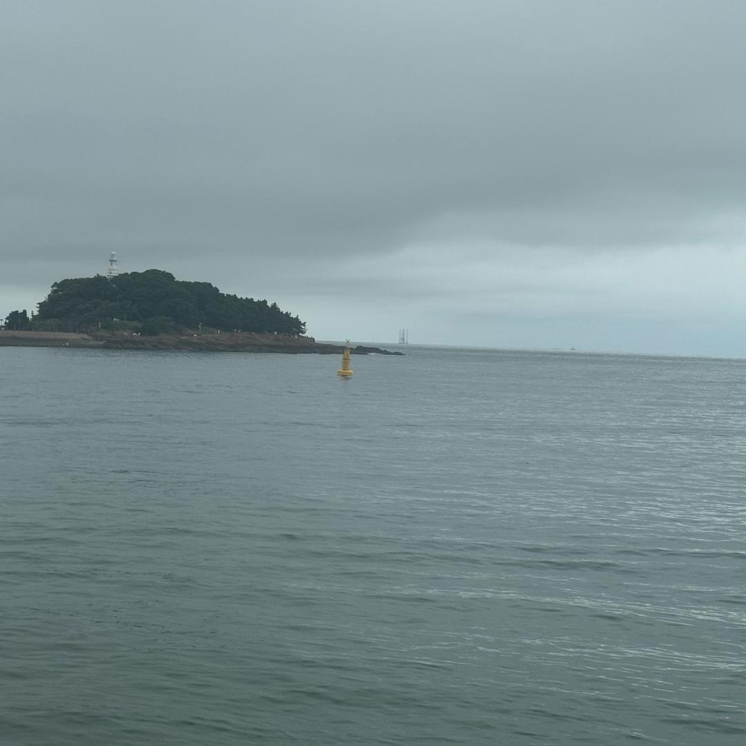 天天在家没事干