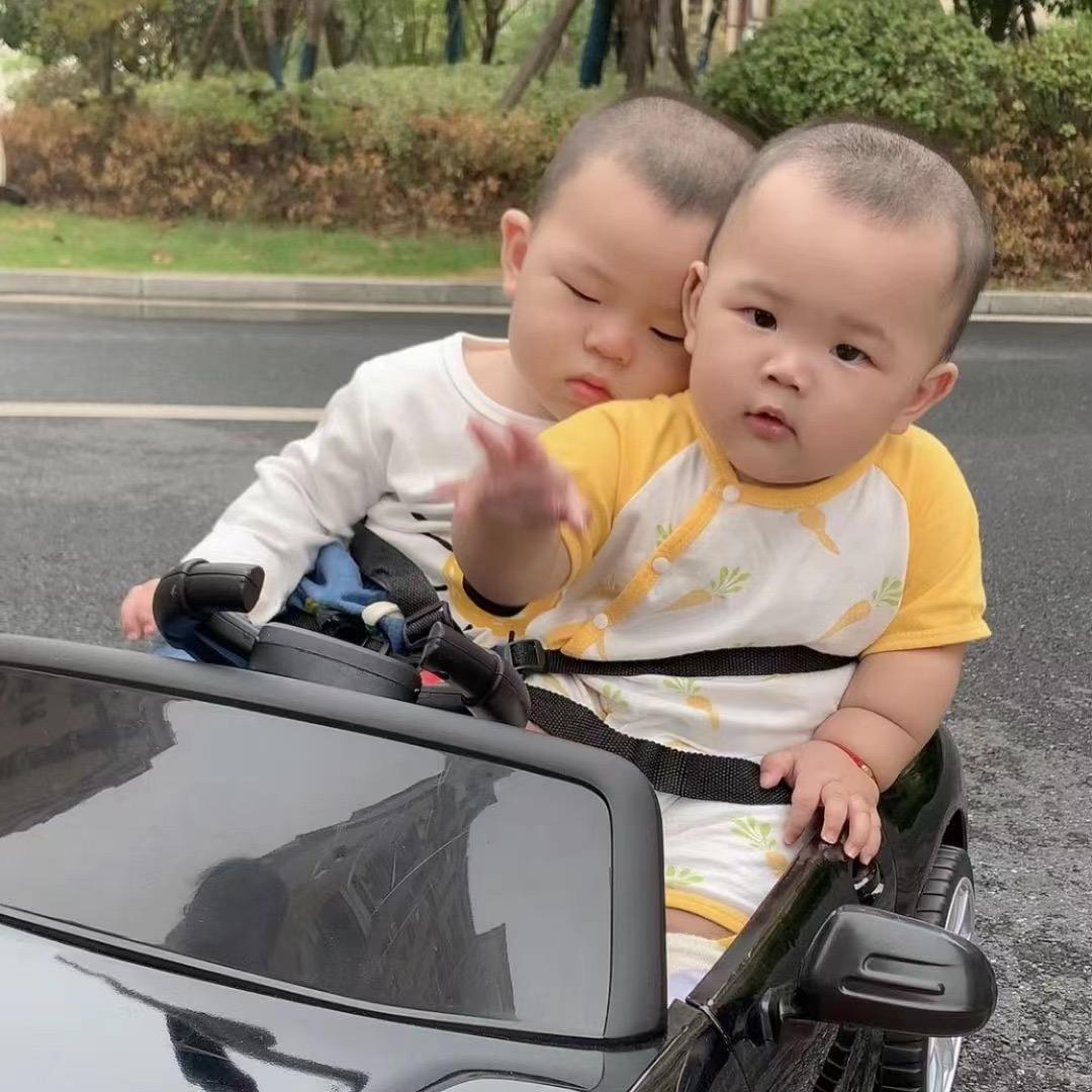 丹丹和侠侠呀