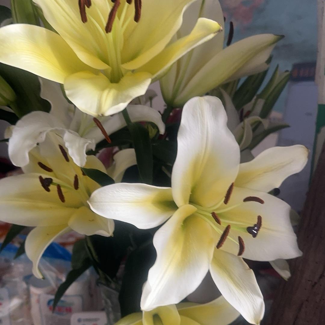 王妹（天天来果业）福达福祥街123号