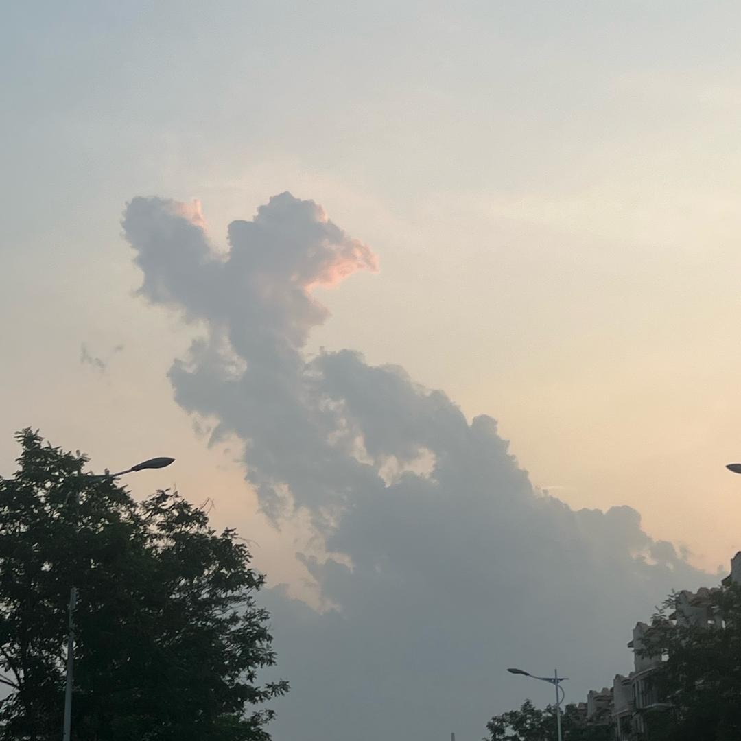 临沂郭富城📸