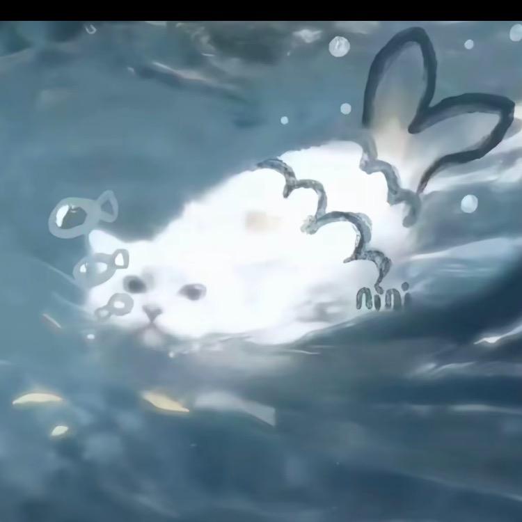 梦涵