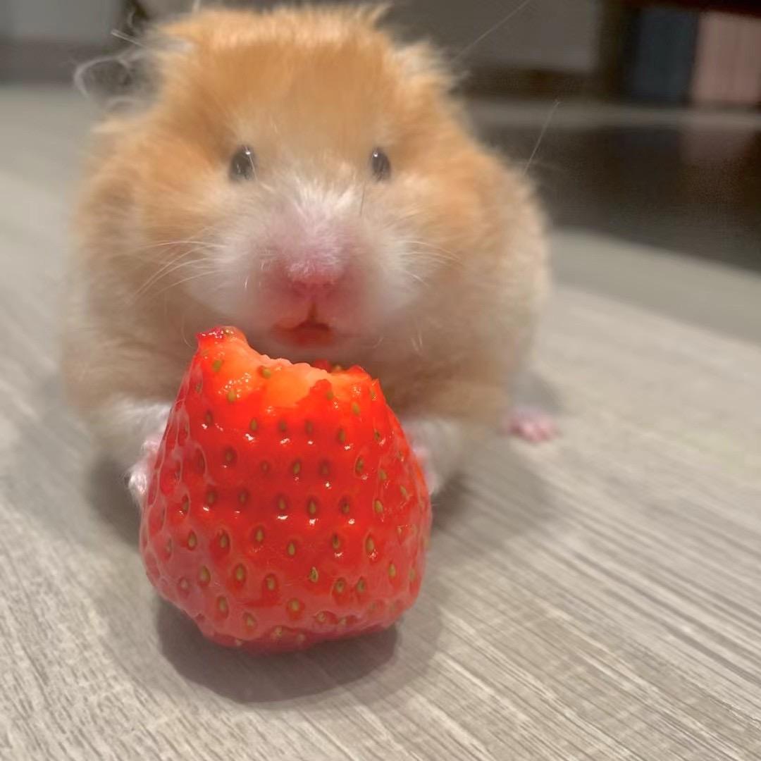 晴友爱