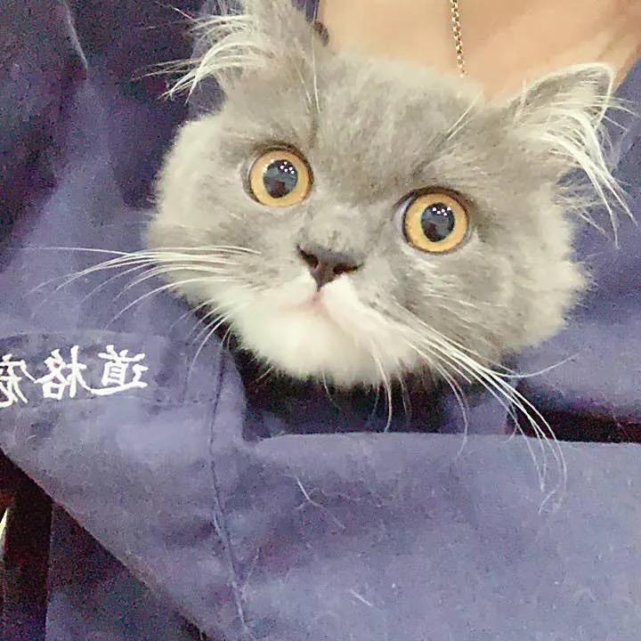 徐徐徐徐徐