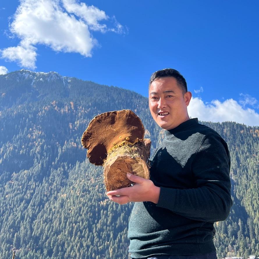 藏百源李哥山货