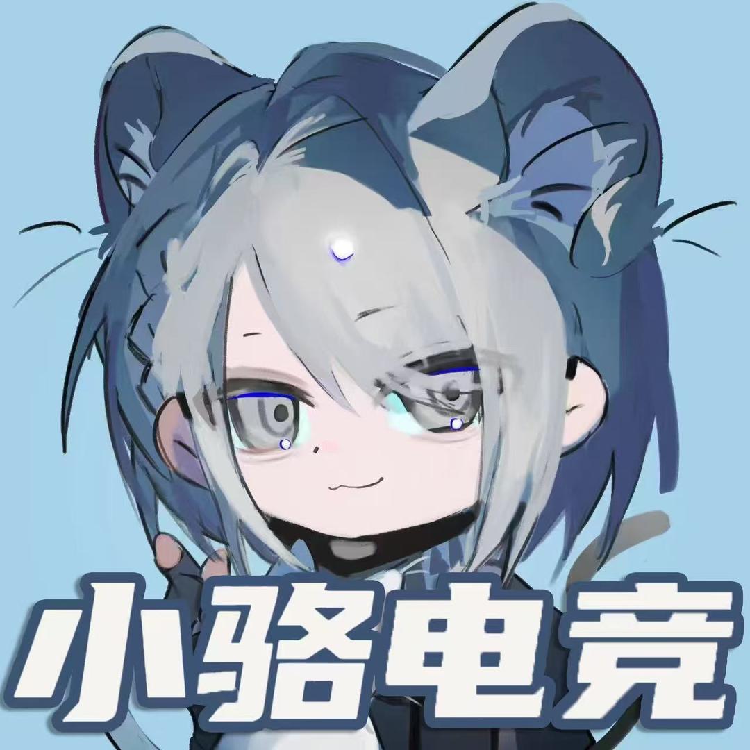 小骆电竞