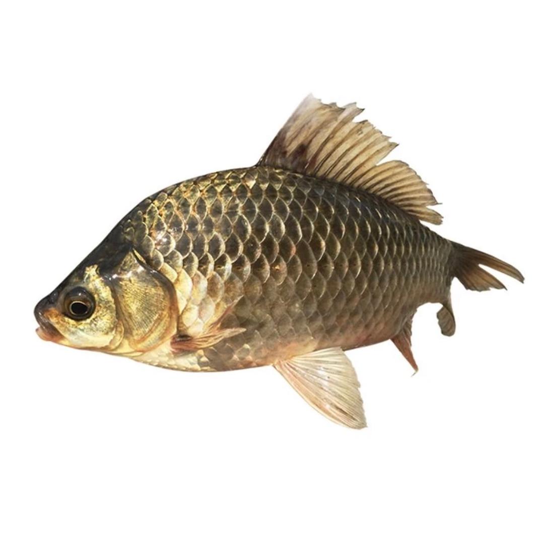 山里琴姐网络运营中心