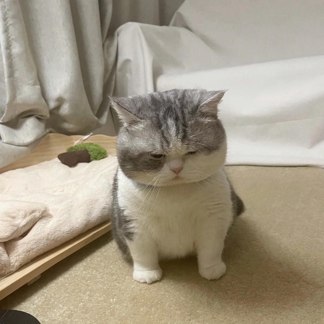 假面超人