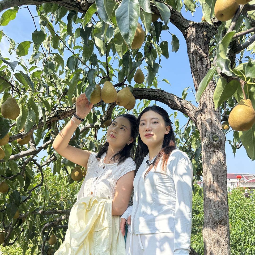 肆喜农园严选