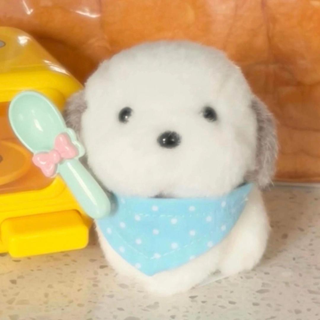 我是青蛙公主