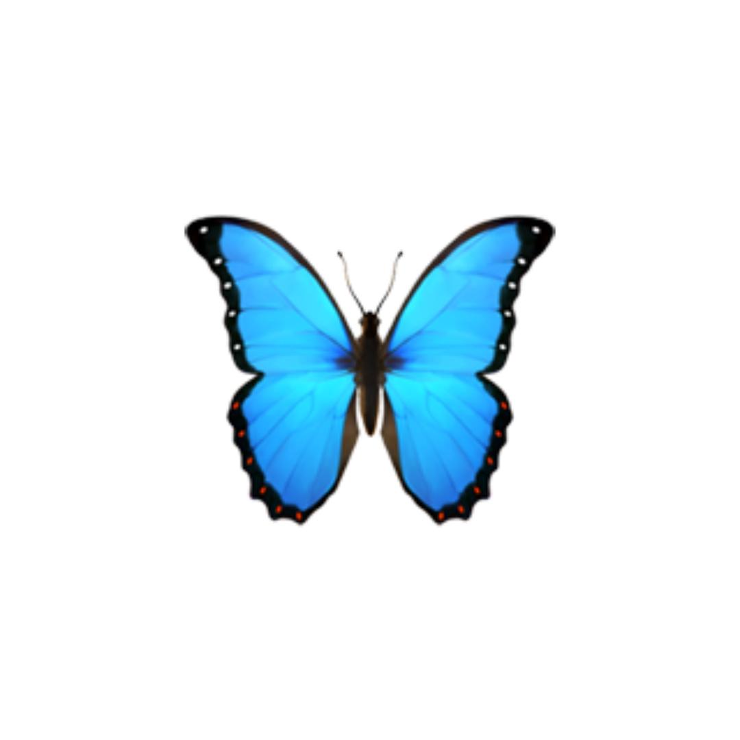 airㅤ