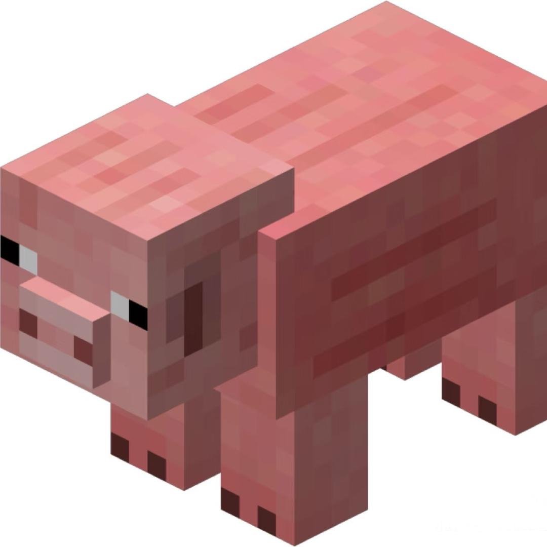 龙哥批发新鲜猪肉