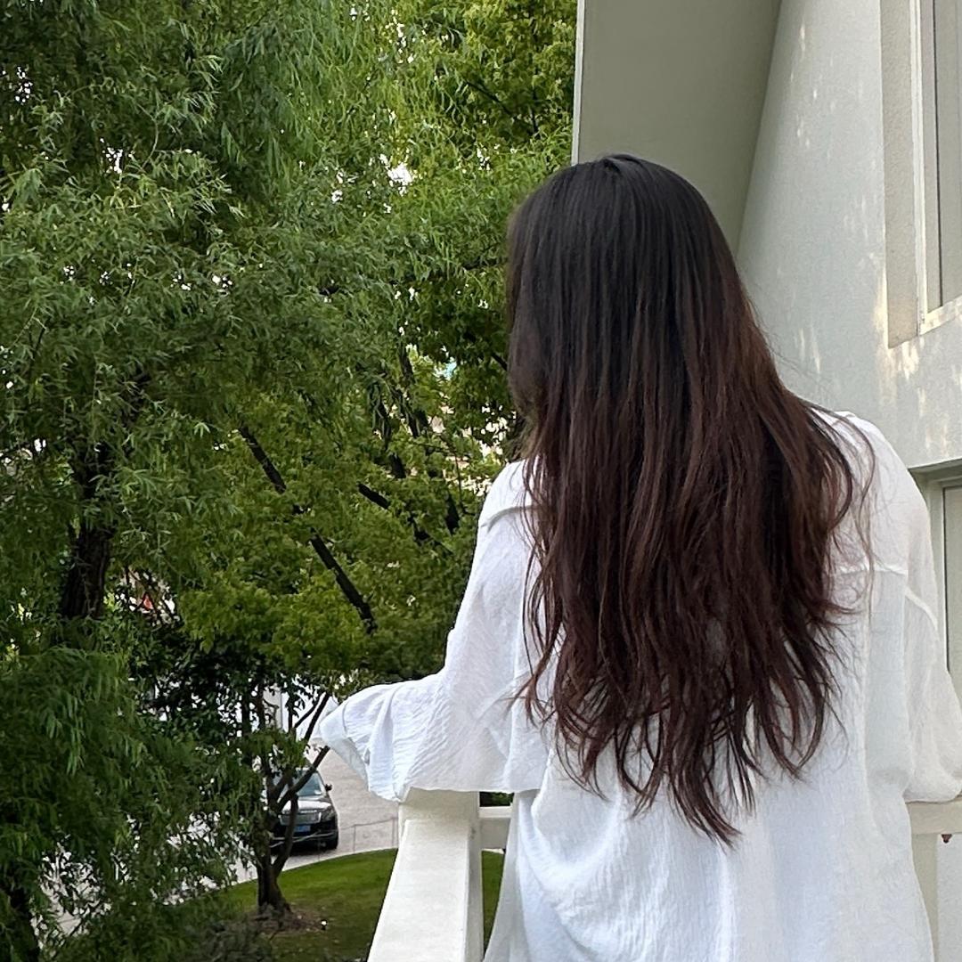 贝果