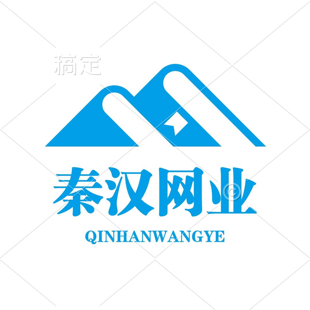 秦汉网业