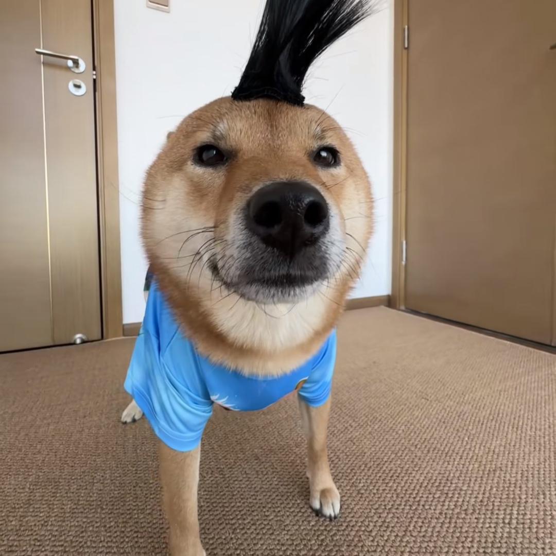 ʕ̯•͡˔•̯᷅ʔ快快乐乐