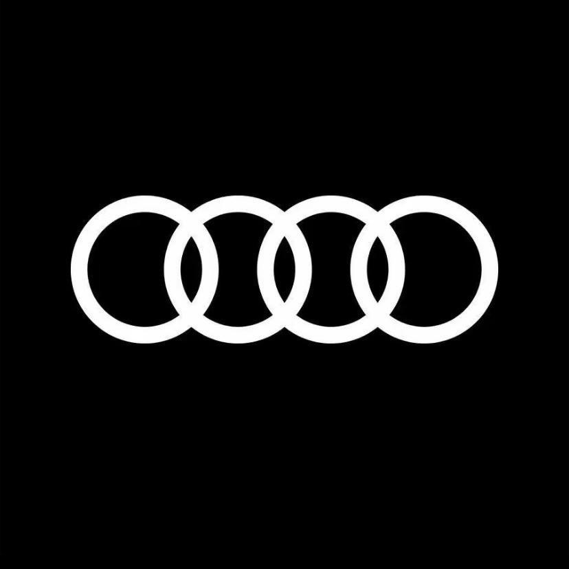 一汽奥迪新能源-江西德奥奥迪