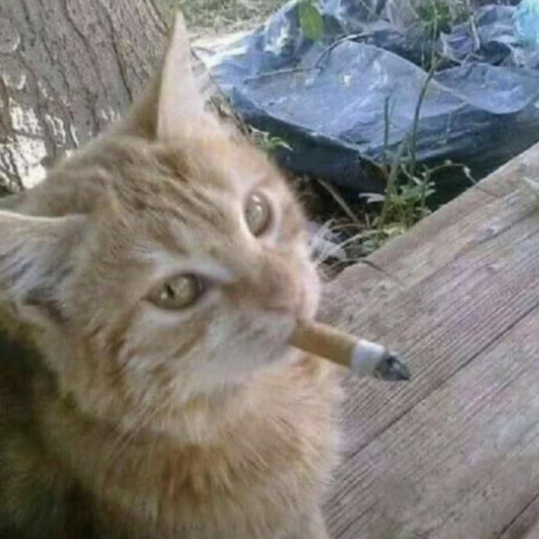 希望世界更加美好