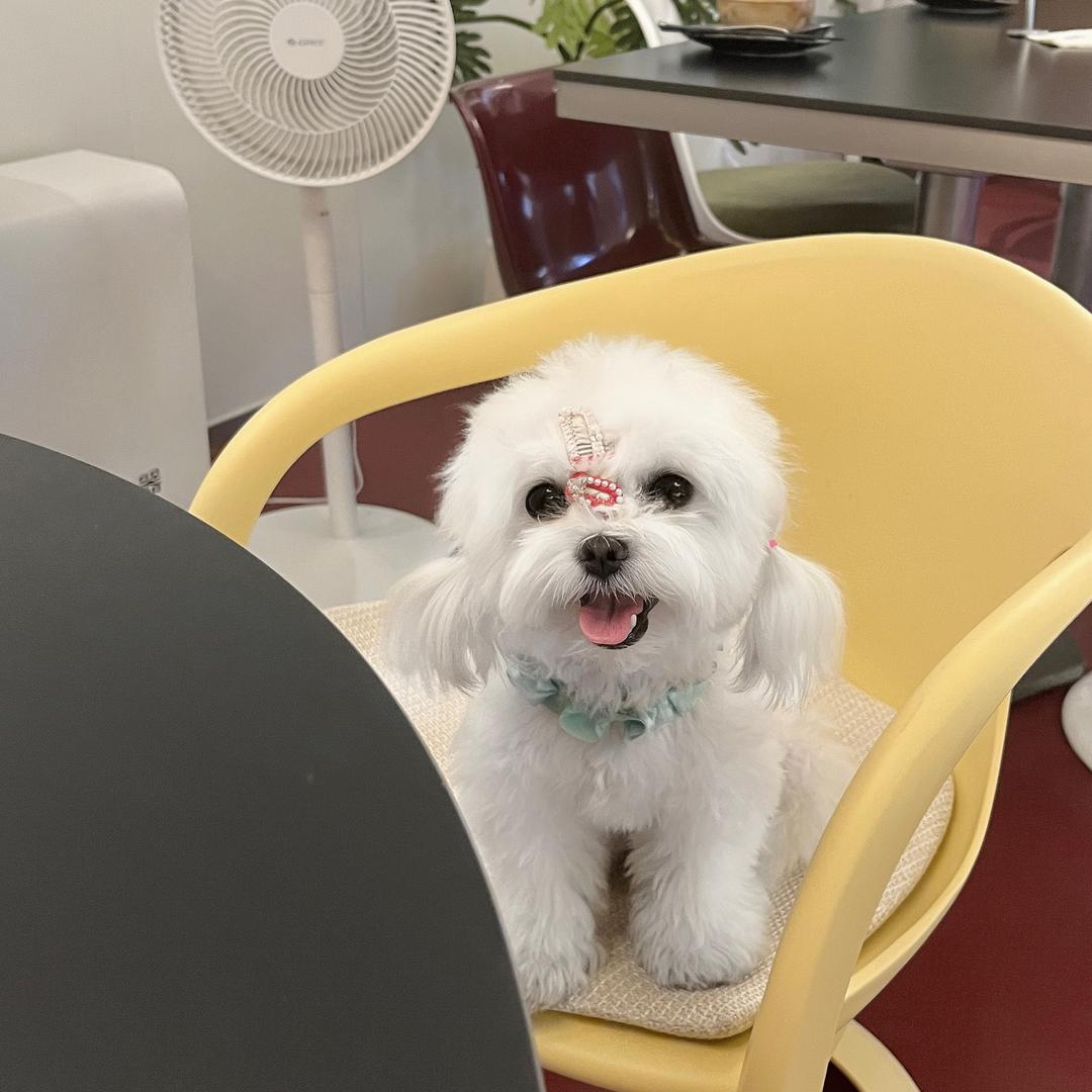 Kaia_