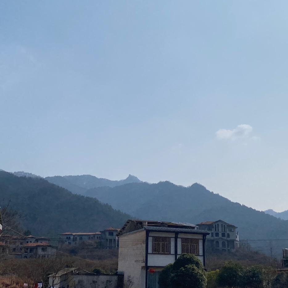 想咋想咋想