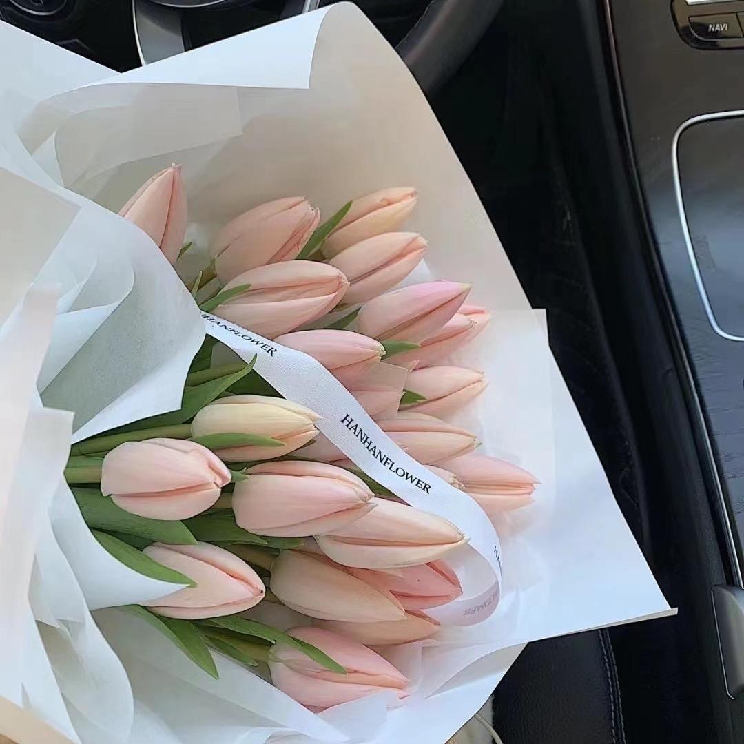静静✨