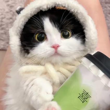 羊羊麻糍铺