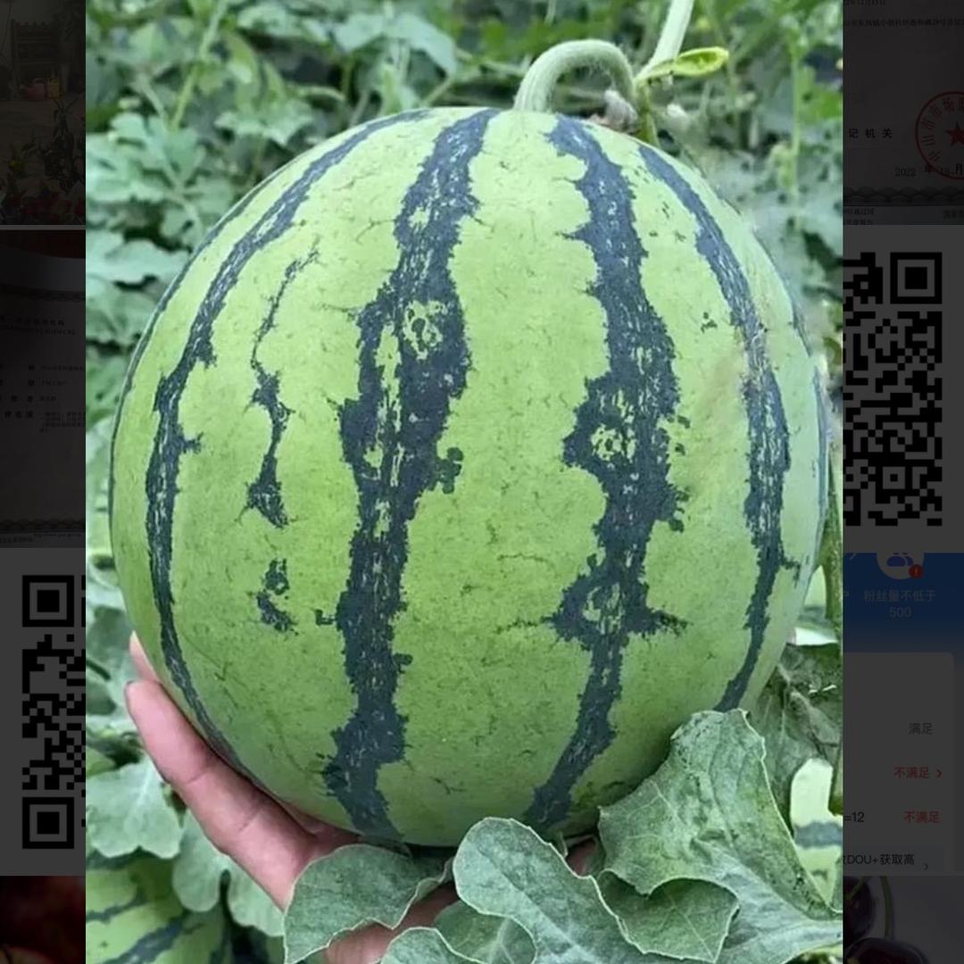 中山市东凤镇初见水果店
