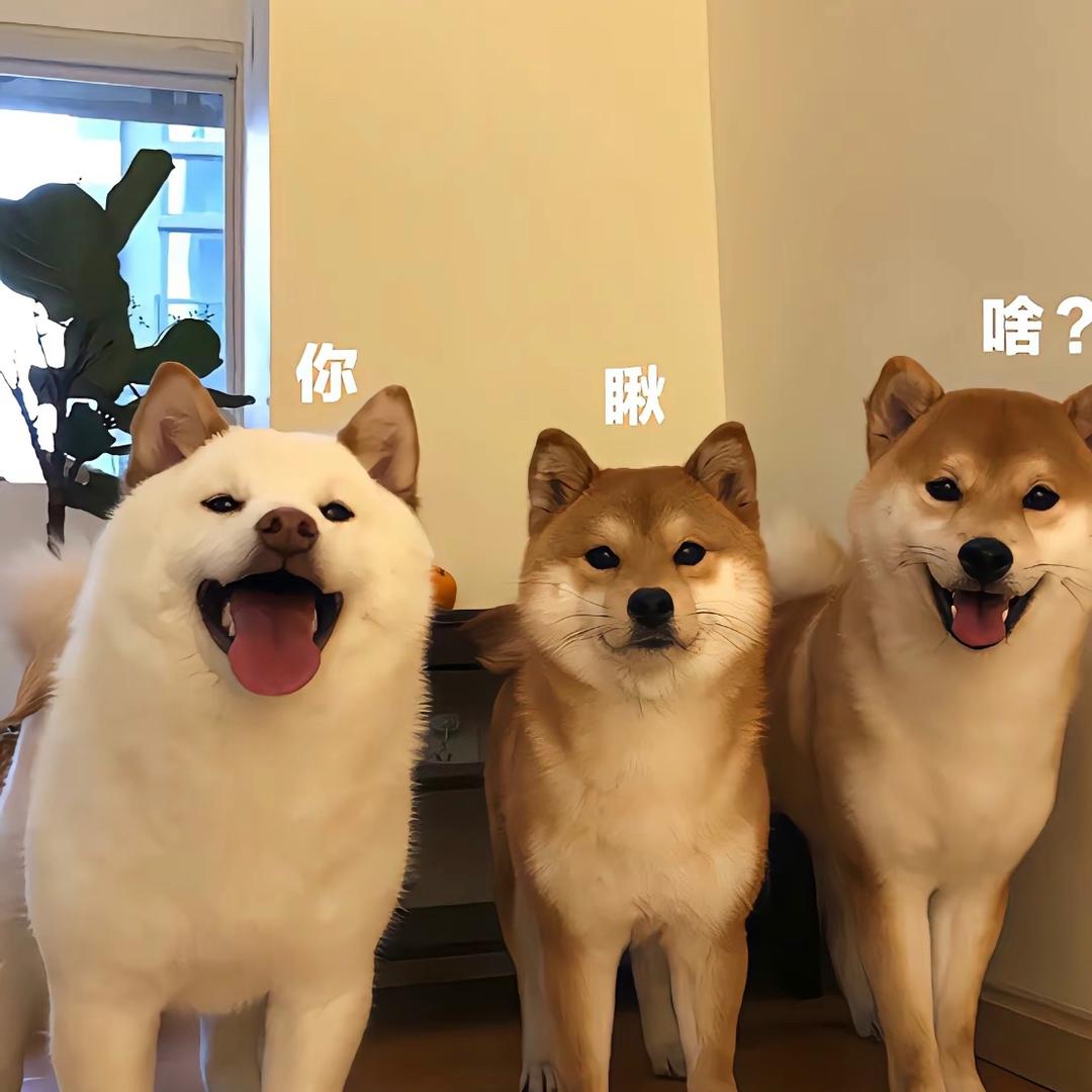 @@小米大大