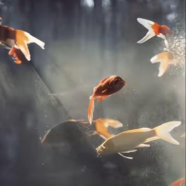 暖向阳
