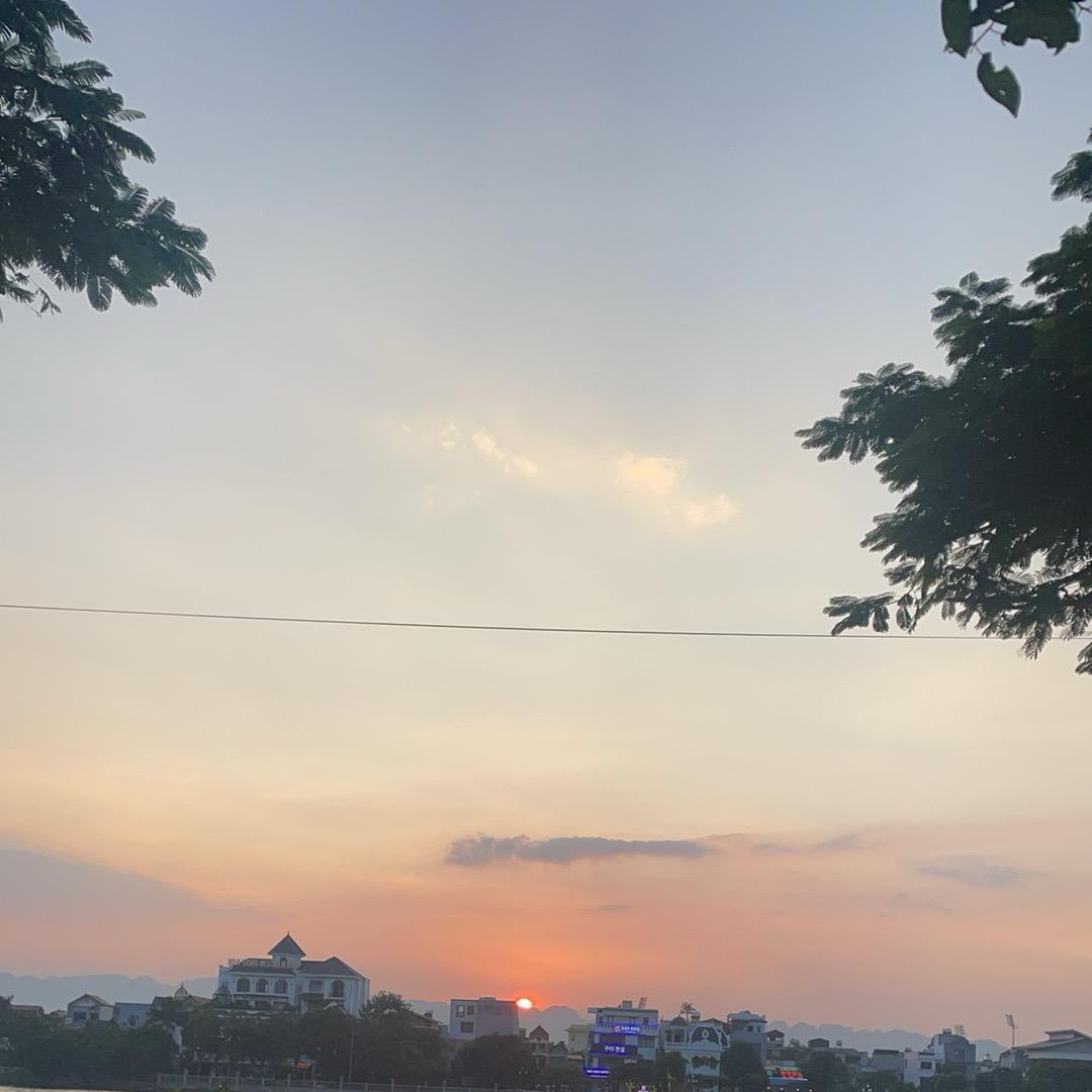 醉闻晚風