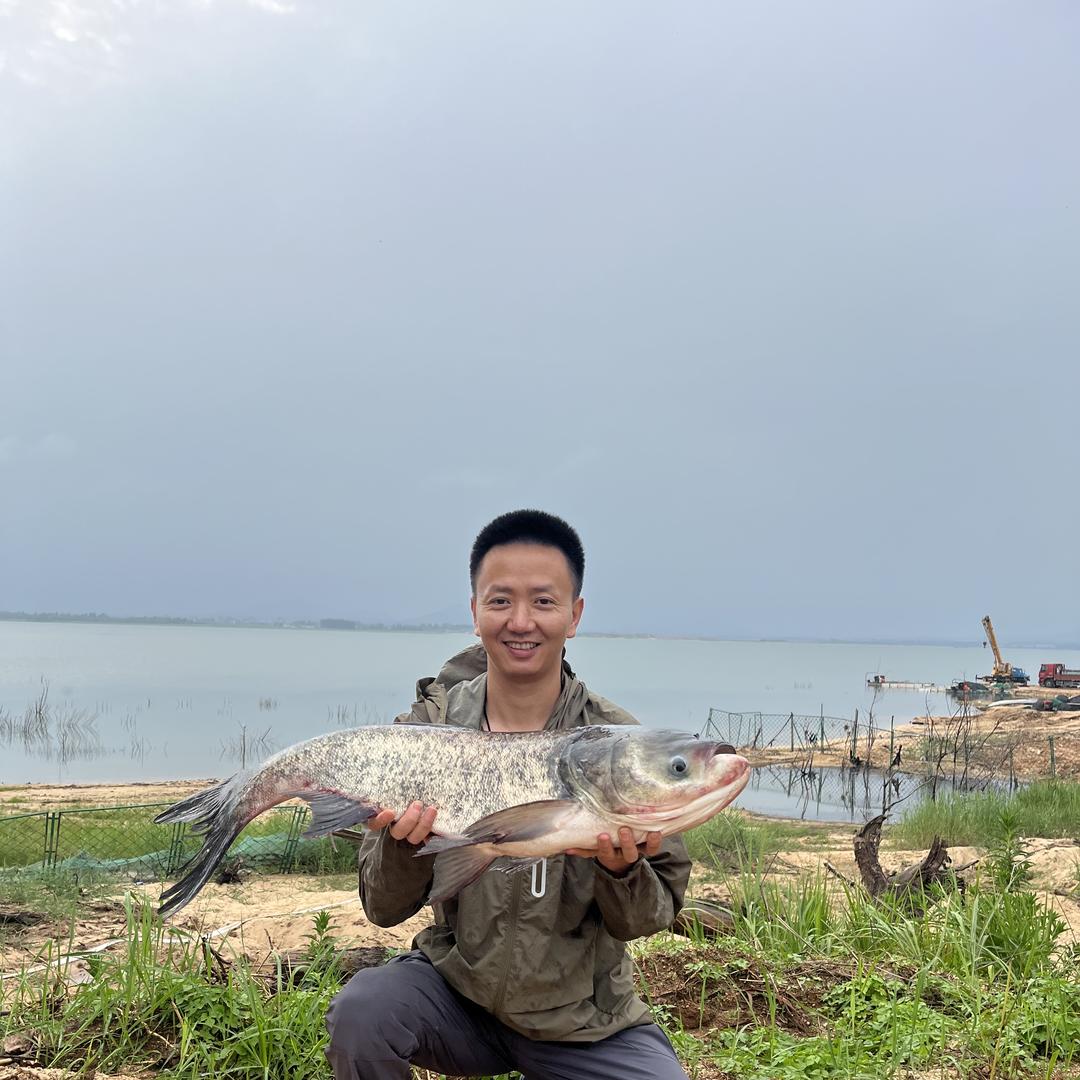 东钓主窝料(烨哥)