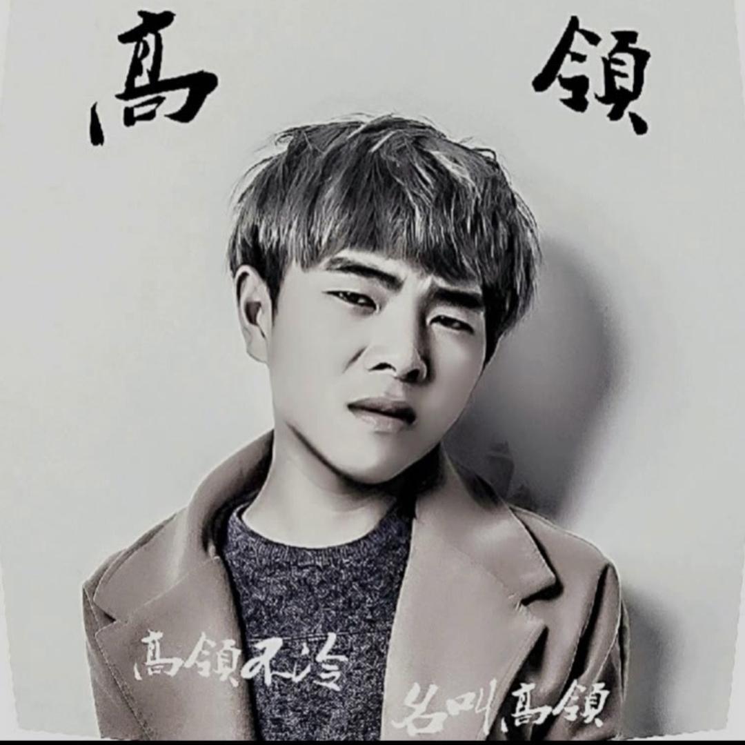 高领✨【团队招新】