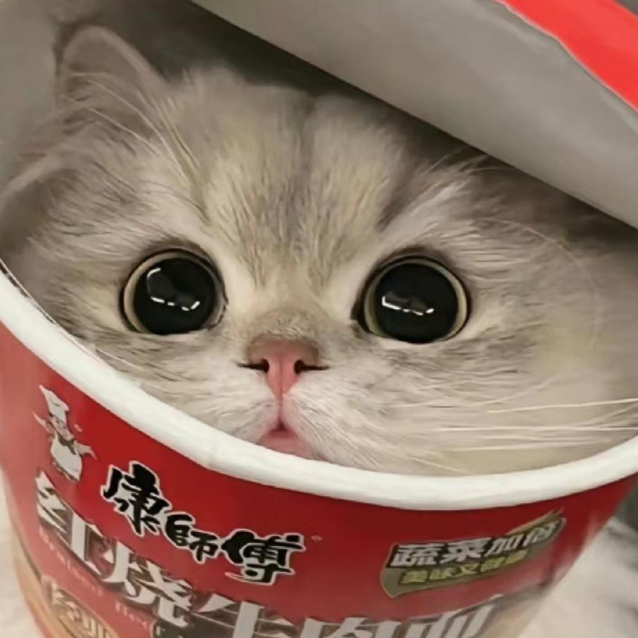 开心笨小孩