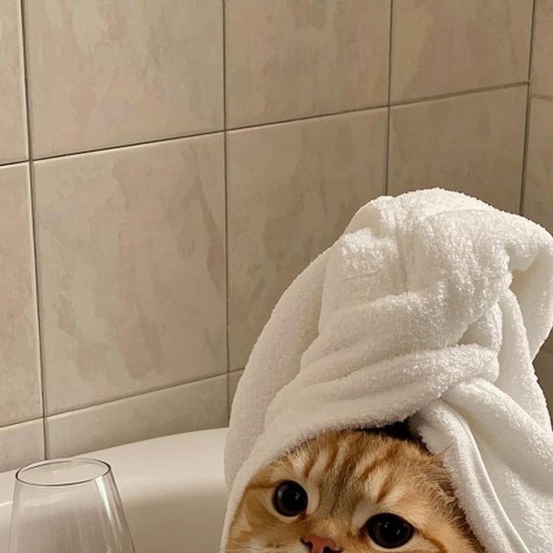 毛捷的捷琦创意屋