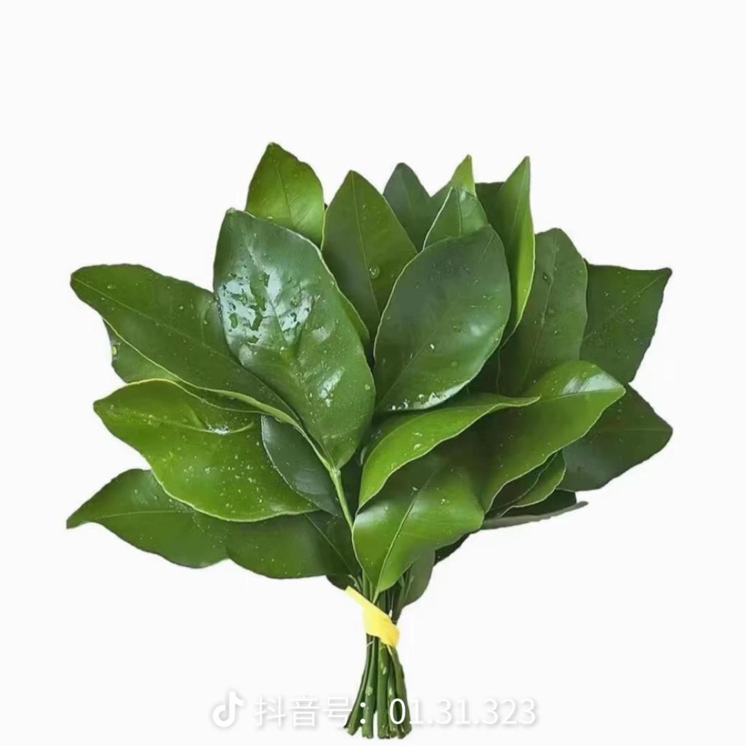 宅