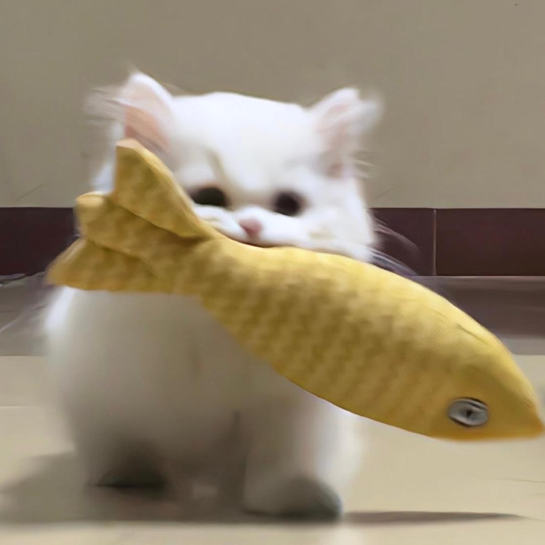 小锌大王