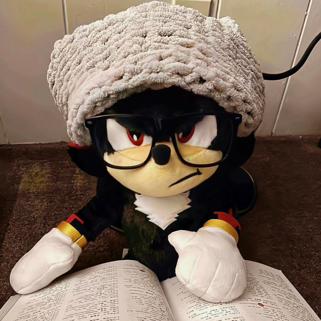 木蛋