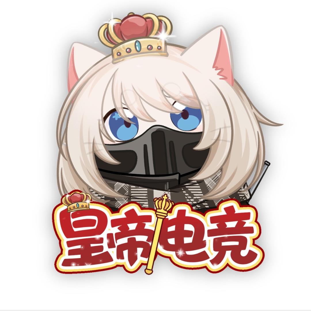 皇帝电竞（三角洲行动）