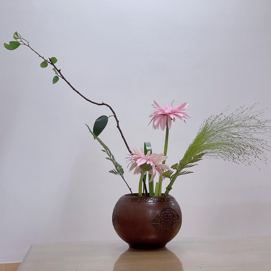 碧颐
