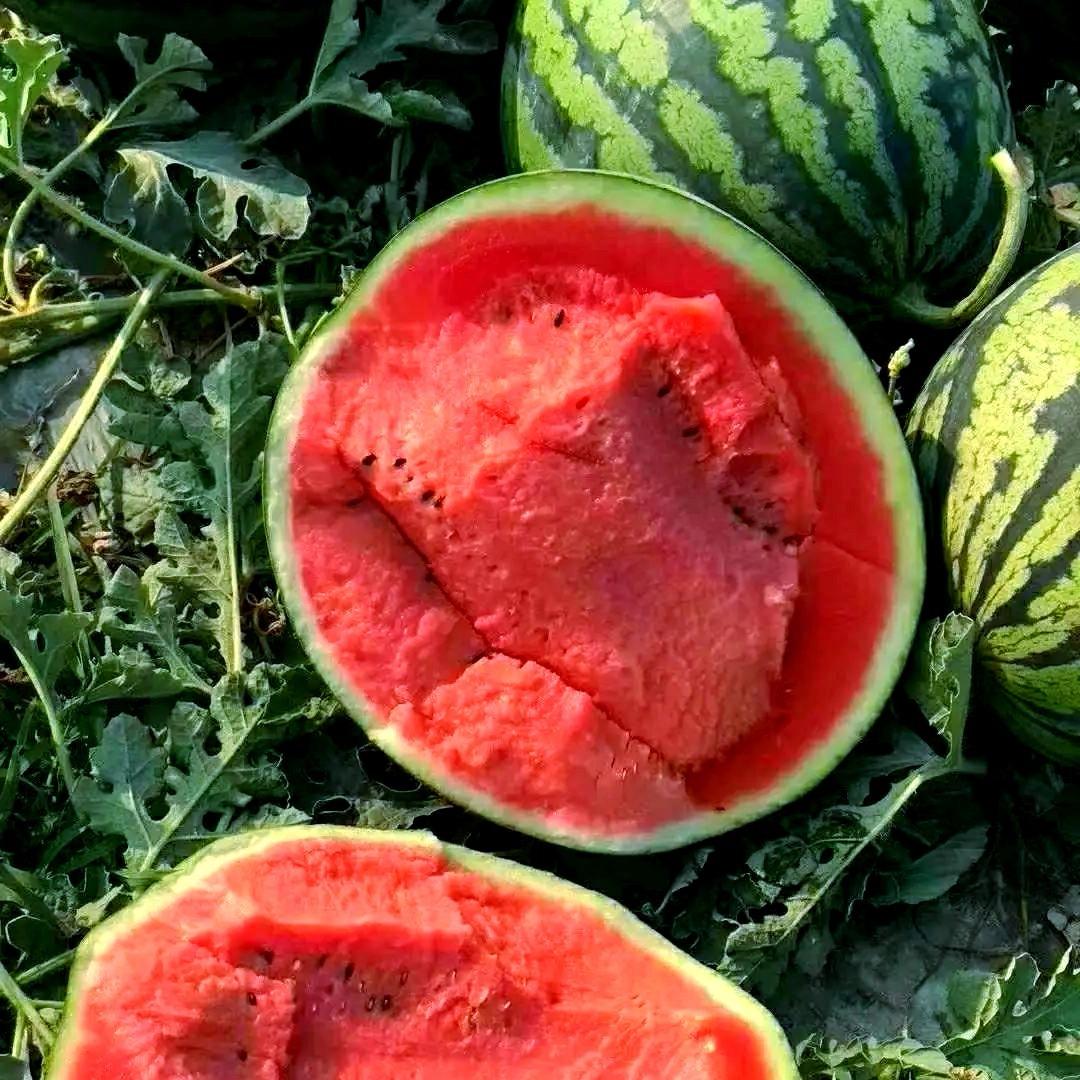 宜家鲜果（小徐）