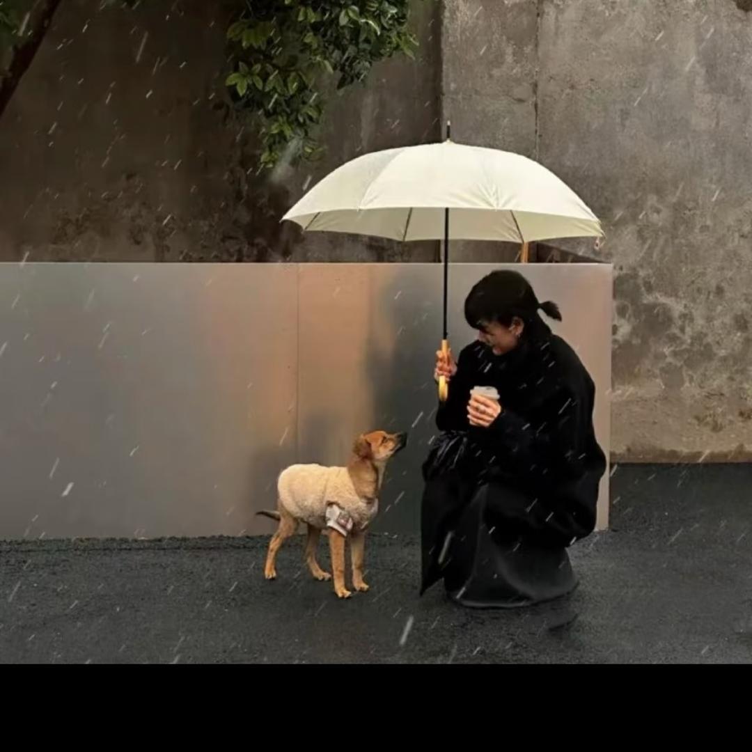 脑袋困咯