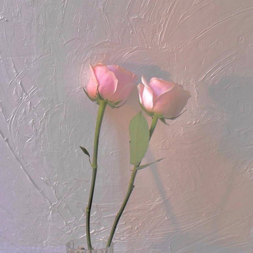 💕熠♛成