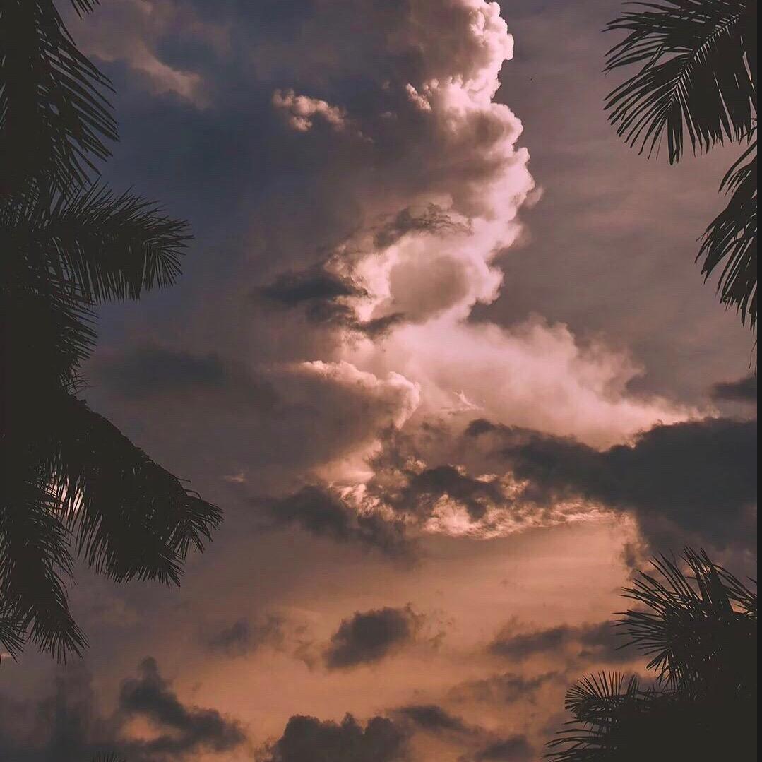 听风吟🫙