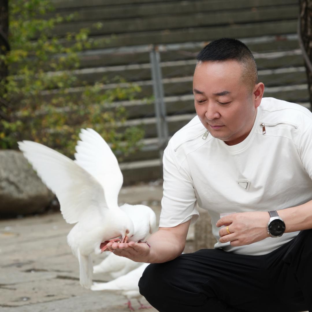 西北狼