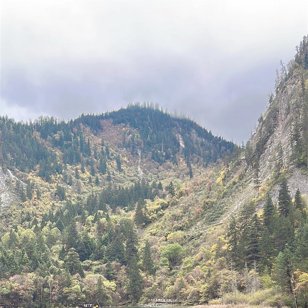 从新💞开始🌹