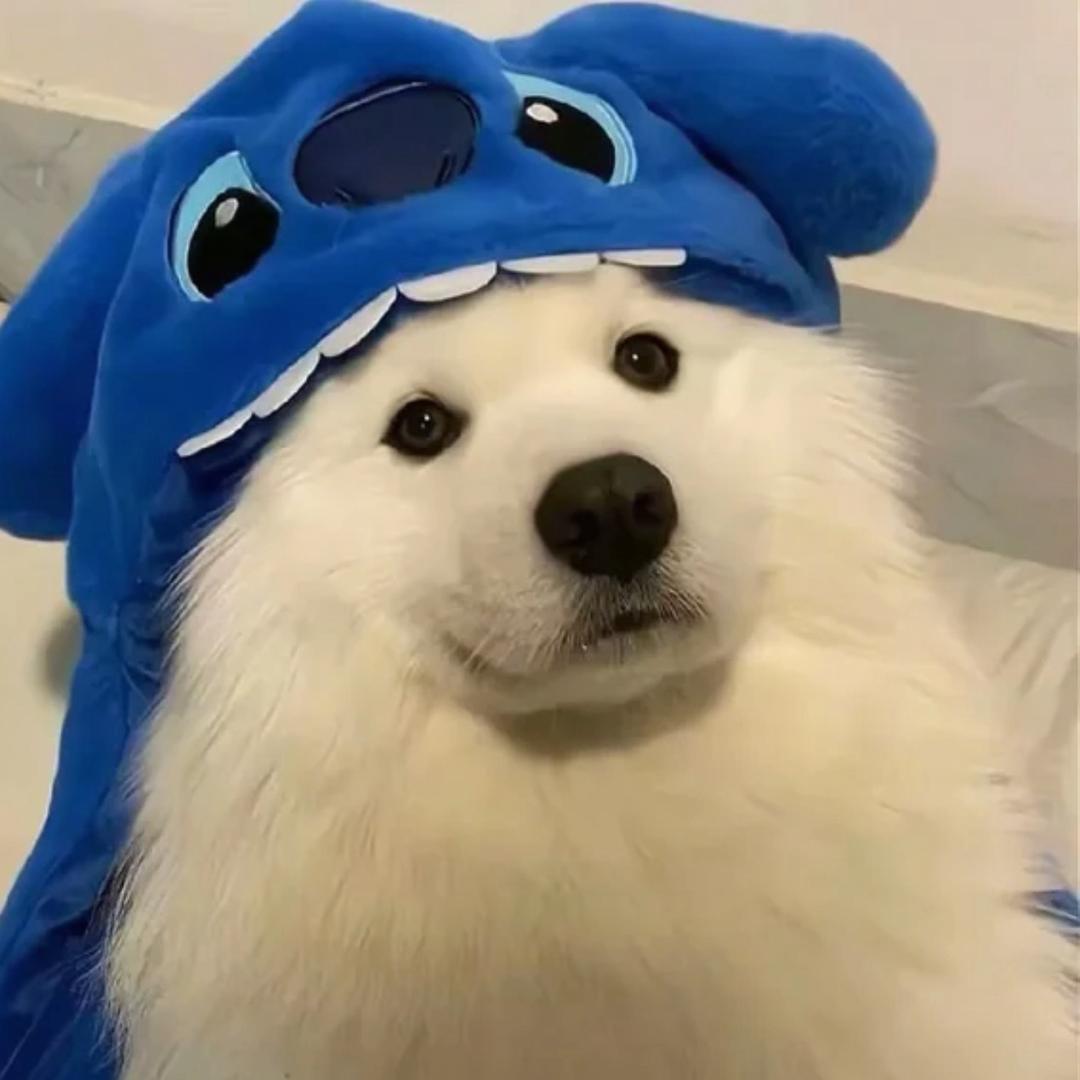 两杯冰美式