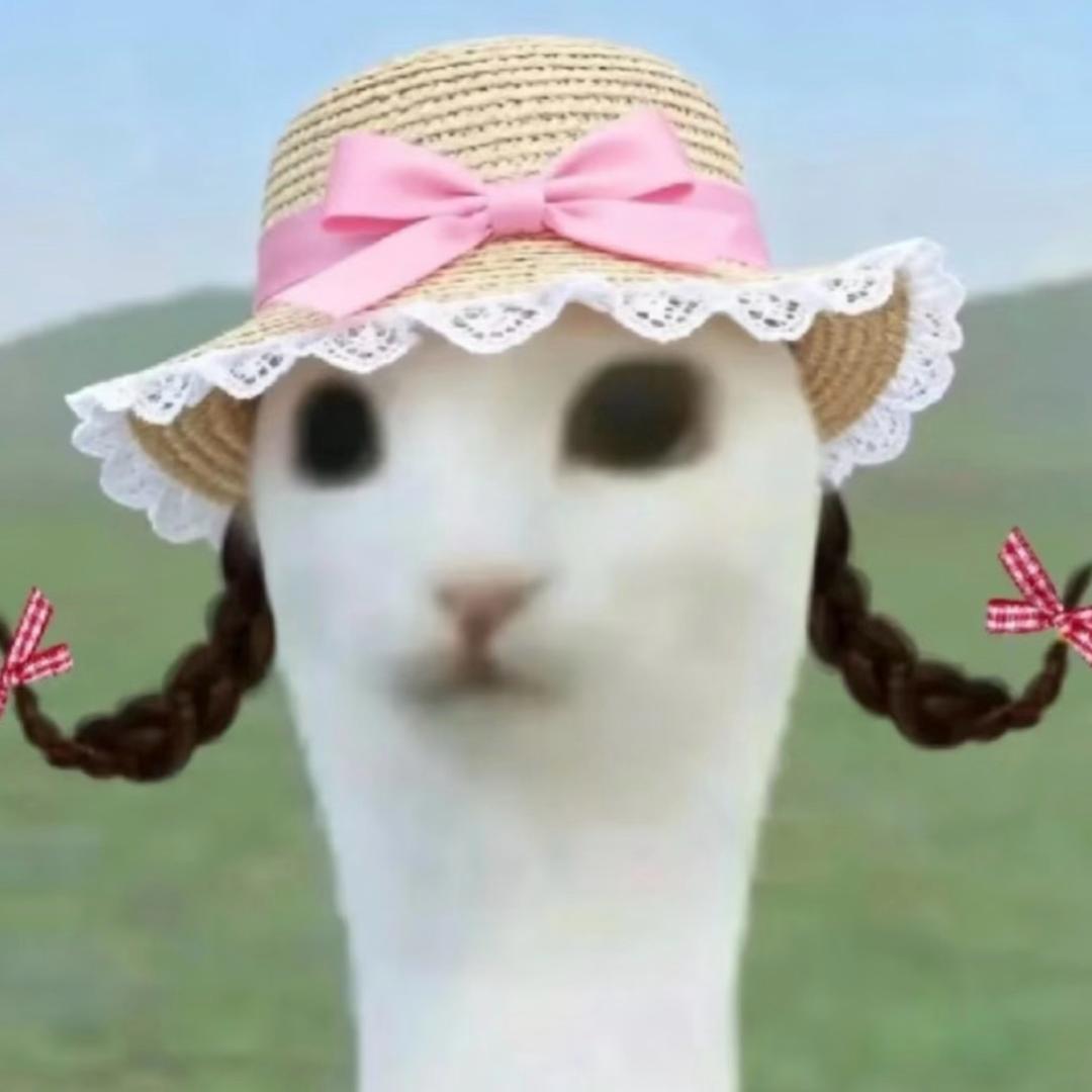 重生之我在花海当前台