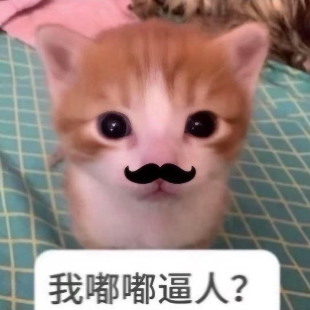 长期在线训狗