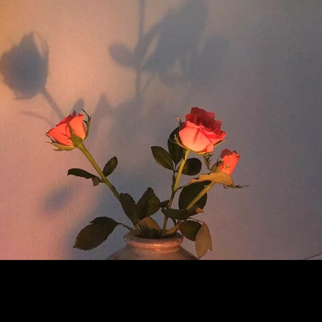 ❣️❣️❣️L
