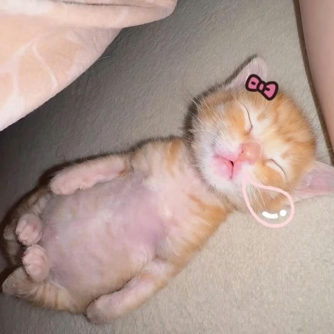 咕噜噜